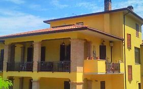 Il girasole